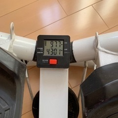ステッパー　室内用の画像