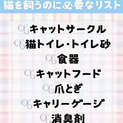 猫ちゃん用品譲ってください😸