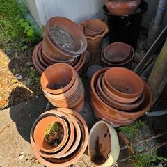 植木鉢の欲しい方に無料で差し上げます。