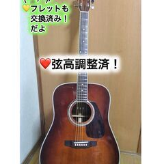 ❤️弦高調整済！「MORRIS モーリス M-50（💛フレット交...
