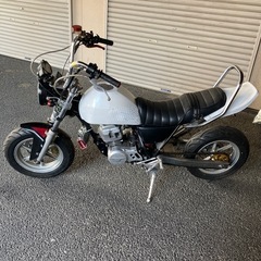 エイプ、モンキー、マグナ、ヨシムラ、ディトナ、ブレンボ