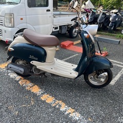 ビーノ❣️他在庫多数飛込見学大歓迎の画像