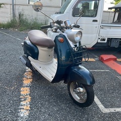 ビーノ❣️他在庫多数飛込見学大歓迎の画像