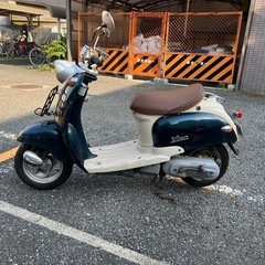 ビーノ❣️他在庫多数飛込見学大歓迎の画像