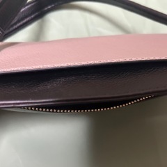 ミニバッグ決まりました
の画像