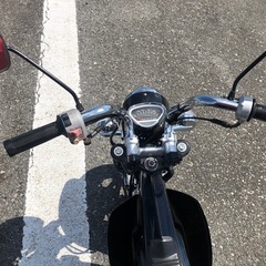 シャリーの画像