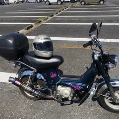 シャリーの画像