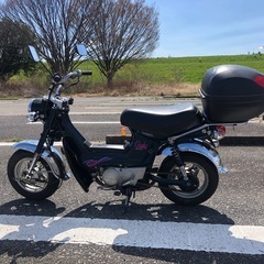 シャリーの画像