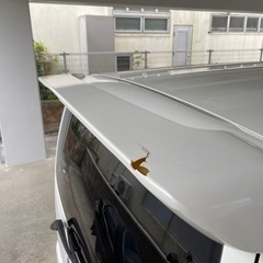 デリカ
NV200の画像