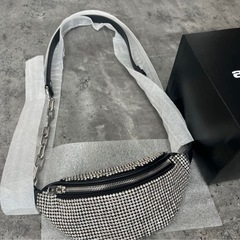 定価16万円‼️Alexander Wang FANNY PACKの画像