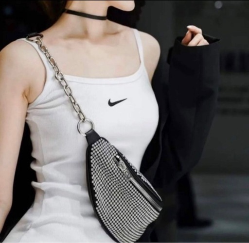 定価16万円‼️Alexander Wang FANNY PACK