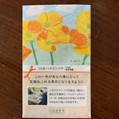 花の種⭐︎4種類の画像