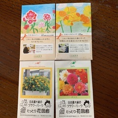 花の種⭐︎4種類