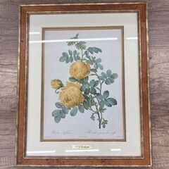 【レガストック川崎本店】複製画 ”レ・ローズ （バラ図譜） ”フ...