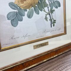 【レガストック川崎本店】複製画 ”レ・ローズ （バラ図譜） ”フォリオ判 ルドゥーテ ローズ 絵額 インテリアの画像