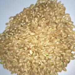 🌾玄米10kg🌾‼️日時指定‼️③
