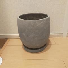 鉢