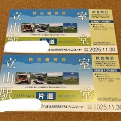 立山黒部アルペンルート株主優待券 立山駅⇔室堂片道乗車券2枚  