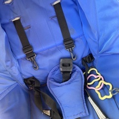 Air buggyの画像