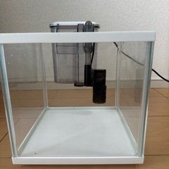 水槽🐟ろ過装置+ミニヒーター付き！