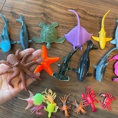 海洋生物　フィギアの画像