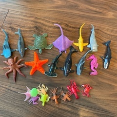 海洋生物　フィギア