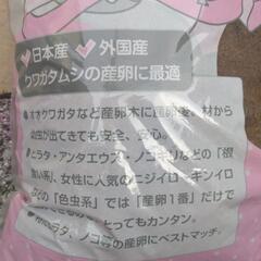 クワガタ用産卵マットの画像