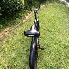 RAINBOW PCH101 20"CRUISER HightRiserの画像