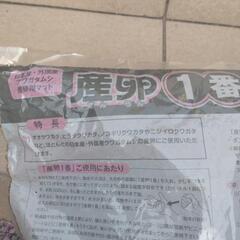 クワガタ用産卵マットの画像