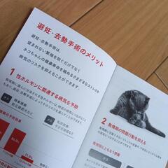 未使用！ロイヤルカナン猫用ブック3点セットの画像