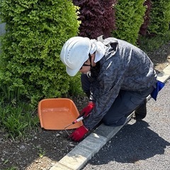 【単発OK】除草・剪定作業のアシスタント募集