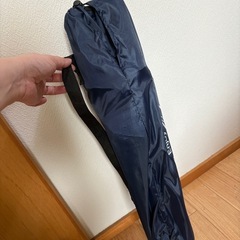 コカコーラ　ビーチチェア
の画像