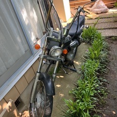 ホンダ jazz50 アメリカン 書あり