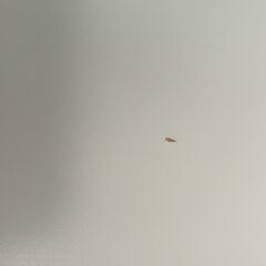 IKEA 天板 LAGKAPTEN ラグカプテン（ホワイト）の画像