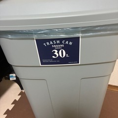 ゴミ箱　30L
