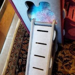 ハムスターやドワーフの小屋の画像