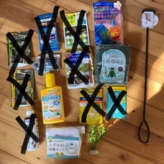 メダカ　まとめ売り②