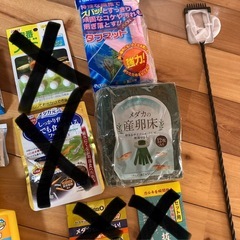 メダカ　セット　②の画像