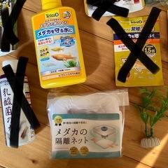 メダカ　セット　②の画像