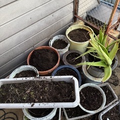 観葉植物の培養土　
