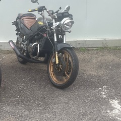 YAMAHA★rz250rの画像