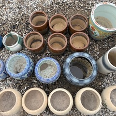 メダカ 金魚鉢 火鉢　陶器　亀