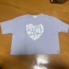 キッズ160cmショートTシャツ