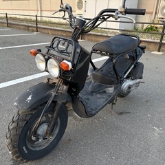 滋賀発　HONDA 　ズーマー　の画像