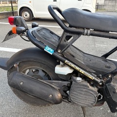 滋賀発　HONDA 　ズーマー　の画像