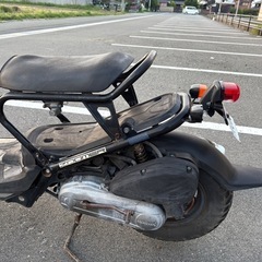 滋賀発　HONDA 　ズーマー　の画像
