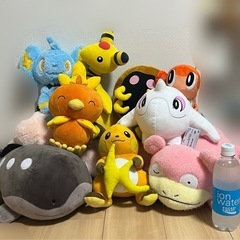 ポケモンぬいぐるみ　9点の画像