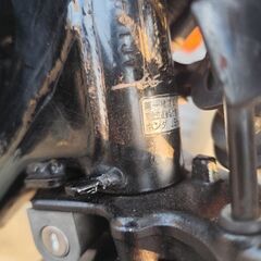 エイプ50インジェクション　中古の画像