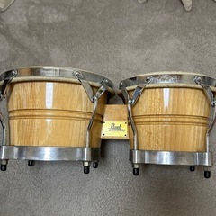 ボンゴ
の画像