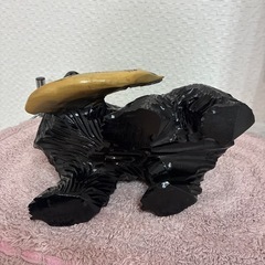 木熊の置物の画像